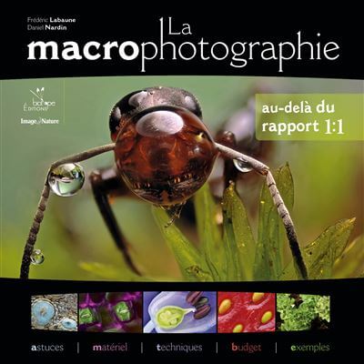 La macrophotographie au delà du rapport 1:1 astuces, matériel, techniques