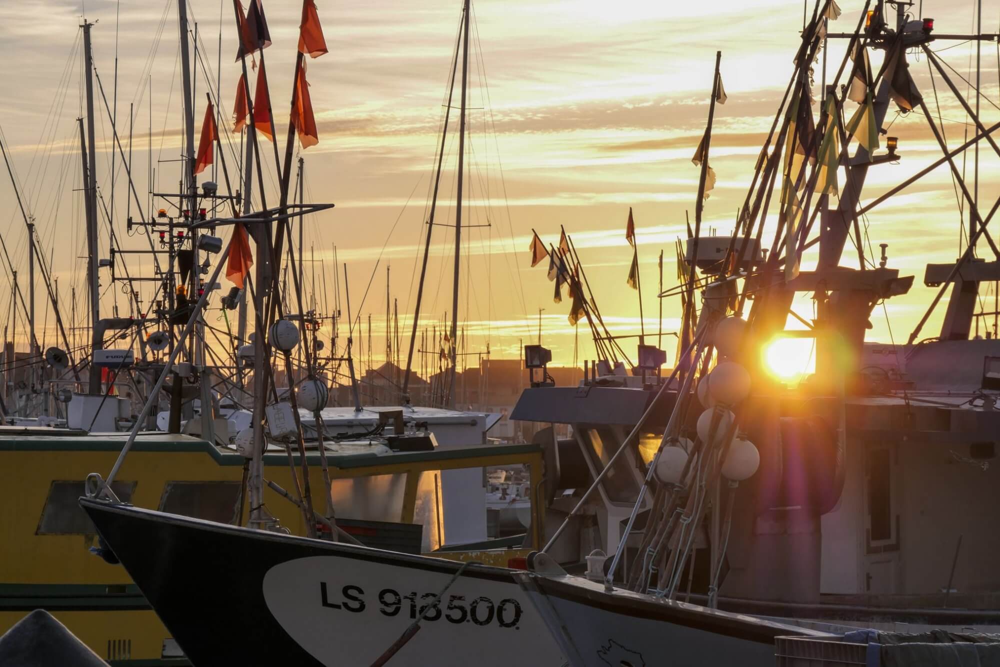 Photo du club Objectif Image 85 - Sortie Les Sables d'Olonne en mars 2024