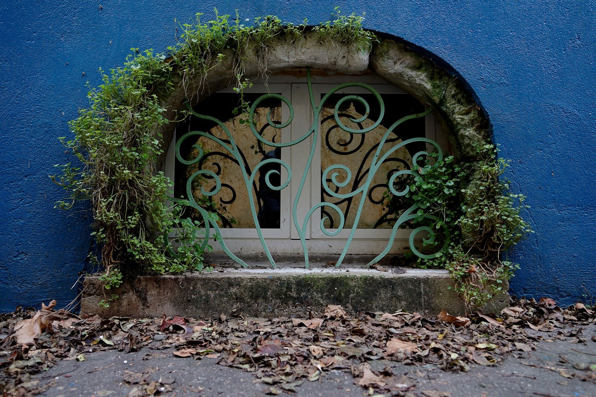Photo du club Objectif Image 85 - sortie à Trentemoult (quartier de Nantes)