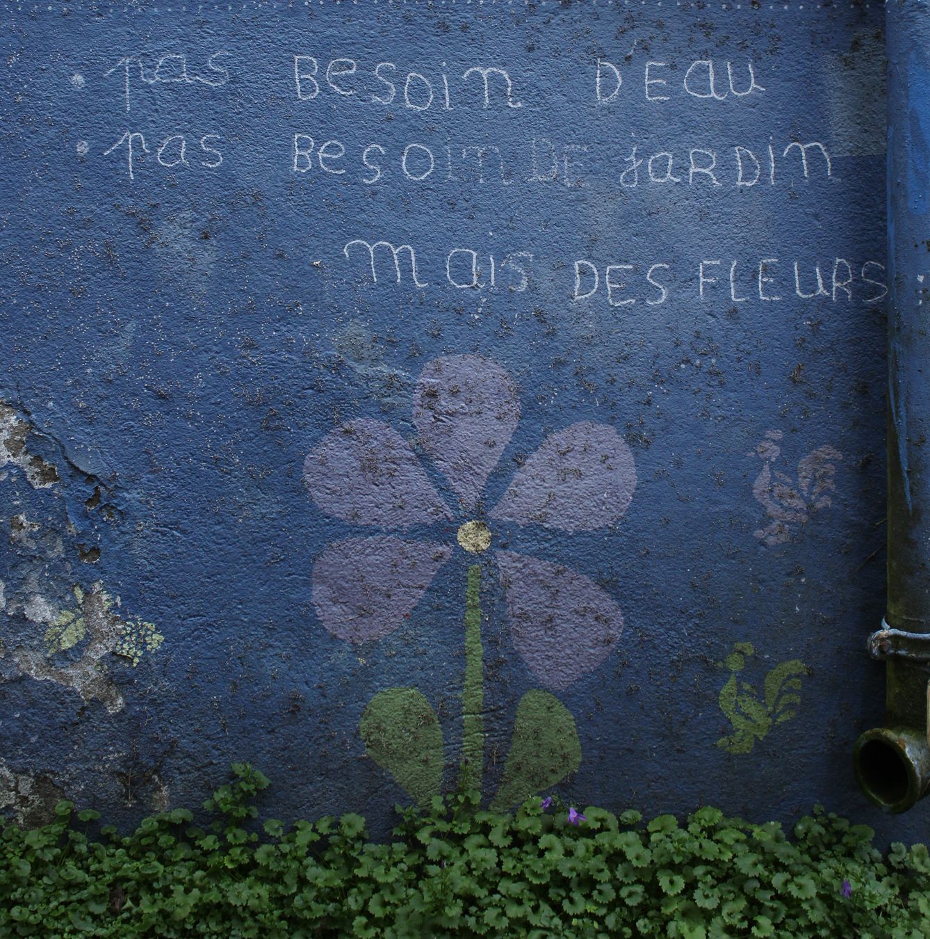 Photo du club Objectif Image 85 - sortie à Trentemoult (quartier de Nantes)