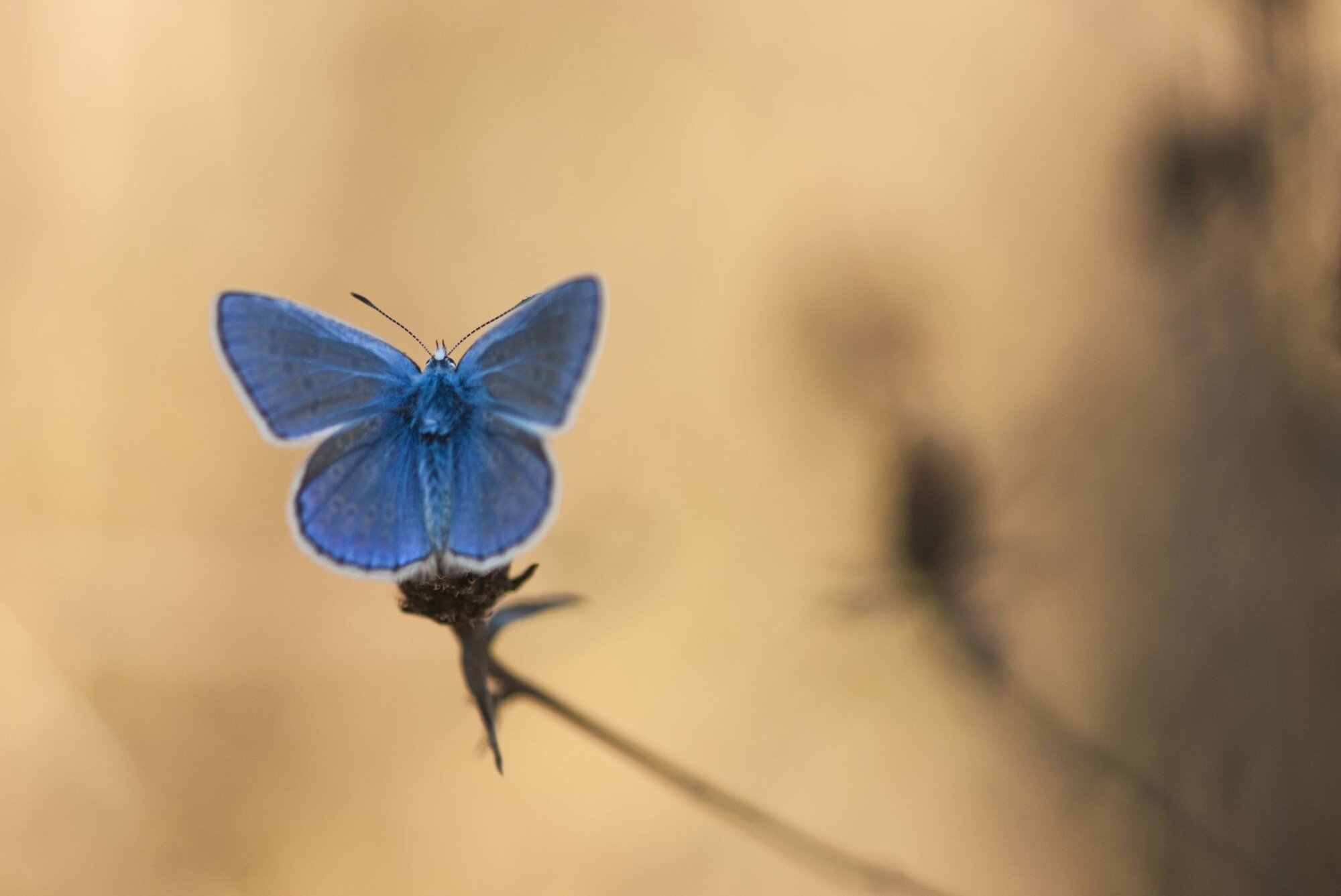 Photo du club Objectif Image 85 - Thème "Bleu"