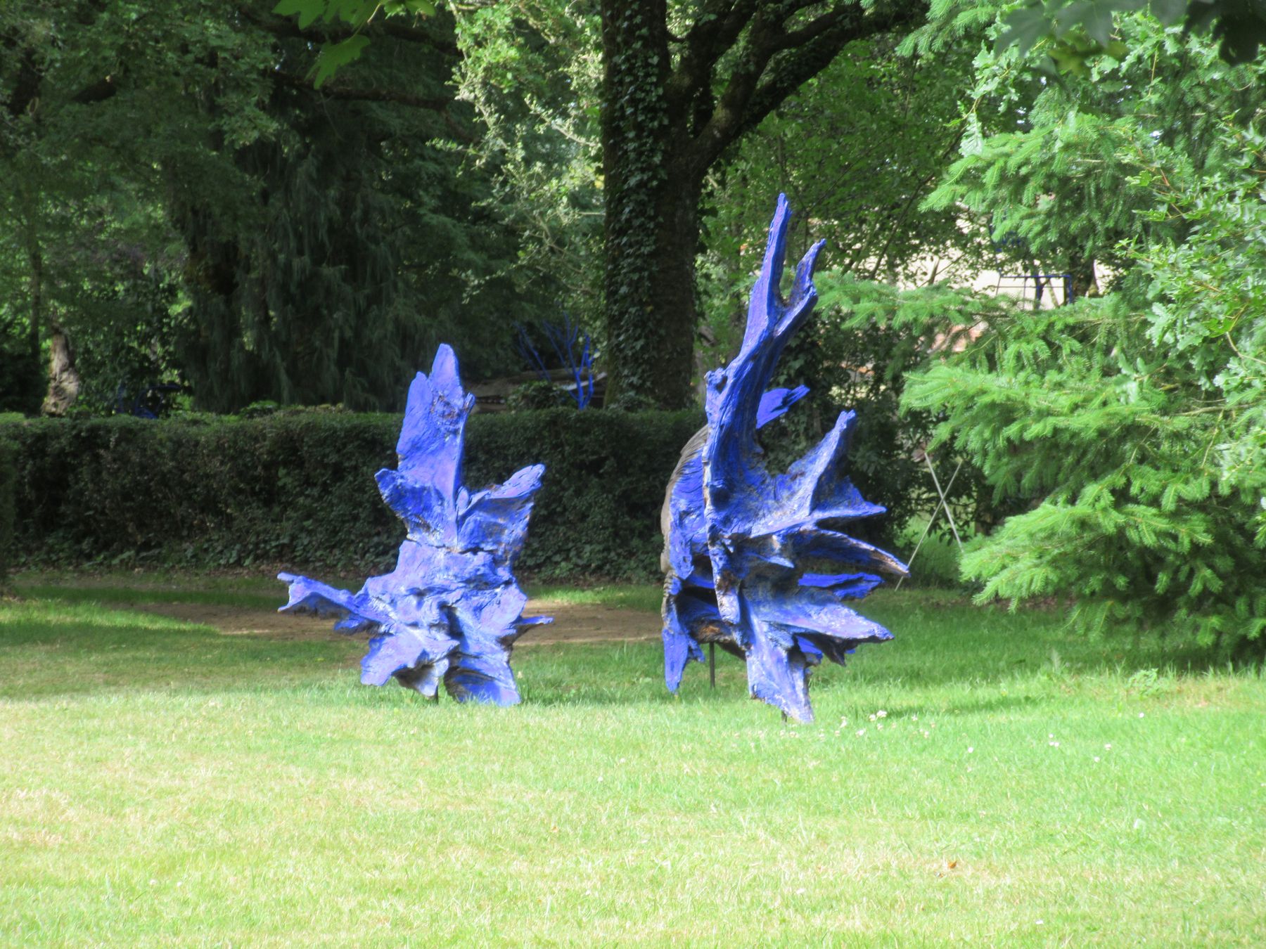 Photo du club Objectif Image 85 - Thème "Bleu"