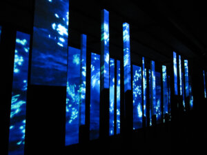 Photo du club Objectif Image 85 - Thème "Bleu"