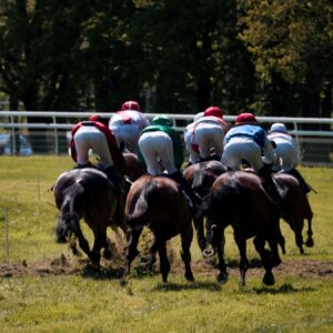 Photo du club Objectif Image 85 - Evénement "Le sport"