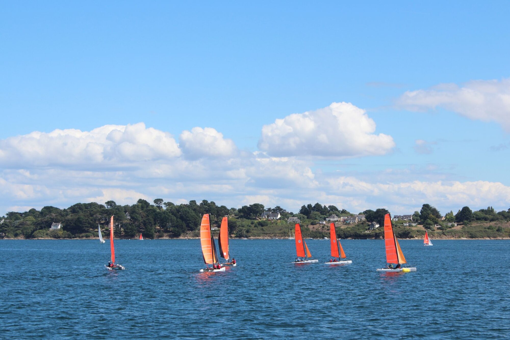 Photo du club Objectif Image 85 - Evénement "Le sport"