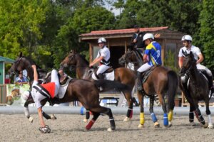 Photo du club Objectif Image 85 - Evénement "Le sport"