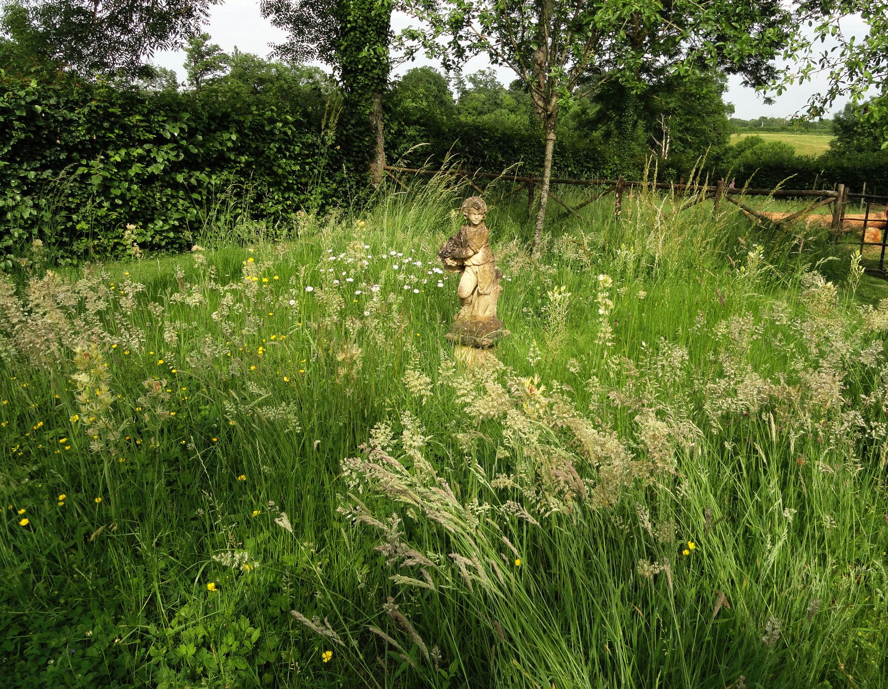 Photo du club Objectif Image 85 - Exposition "Dans nos jardins"