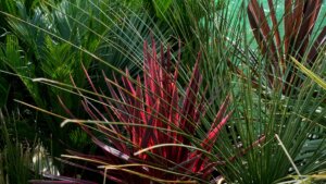 Photo du club Objectif Image 85 - Exposition "Dans nos jardins"