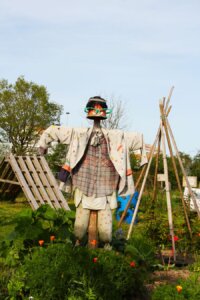 Photo du club Objectif Image 85 - Exposition "Dans nos jardins"