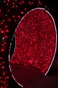 illuminations-laroche-2024-07