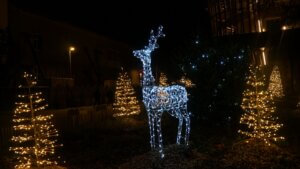illuminations-laroche-2024-12