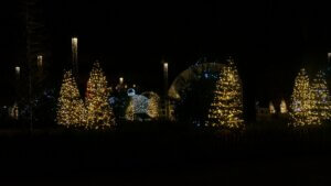 illuminations-laroche-2024-13