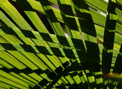 Photo du club Objectif Image 85 - Thème "les lignes"