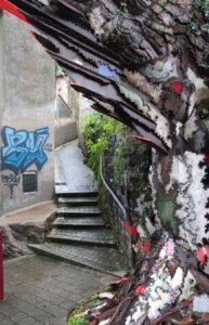 Photo du club Objectif Image 85 - Clisson octobre 2024