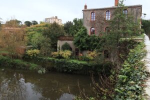 Photo du club Objectif Image 85 - Clisson octobre 2024