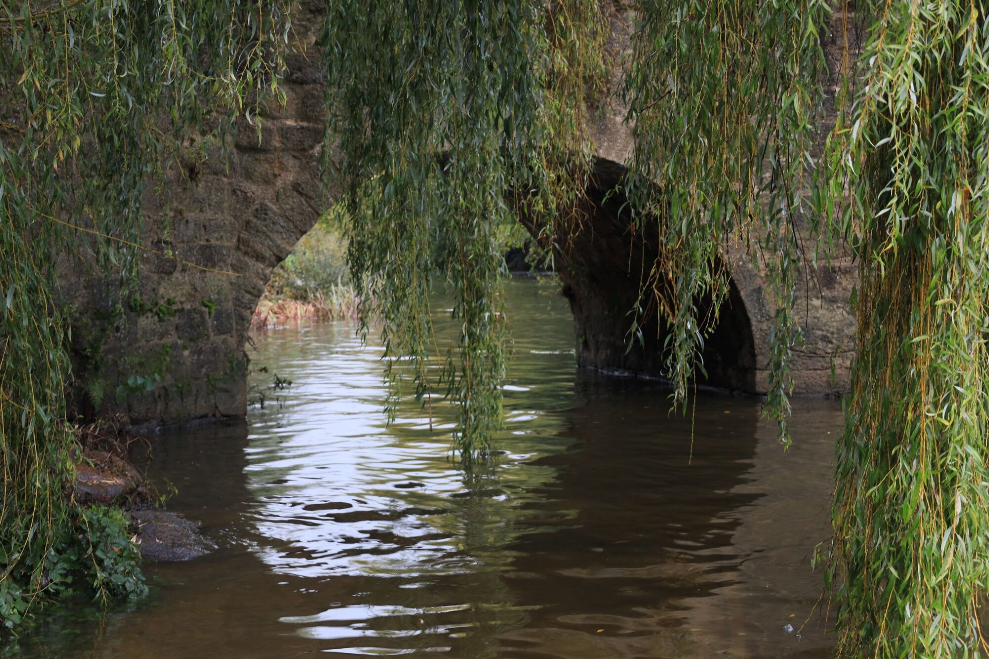 Photo du club Objectif Image 85 - Clisson octobre 2024