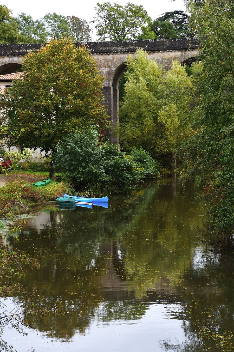 Photo du club Objectif Image 85 - Clisson octobre 2024