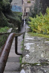 Photo du club Objectif Image 85 - Clisson octobre 2024