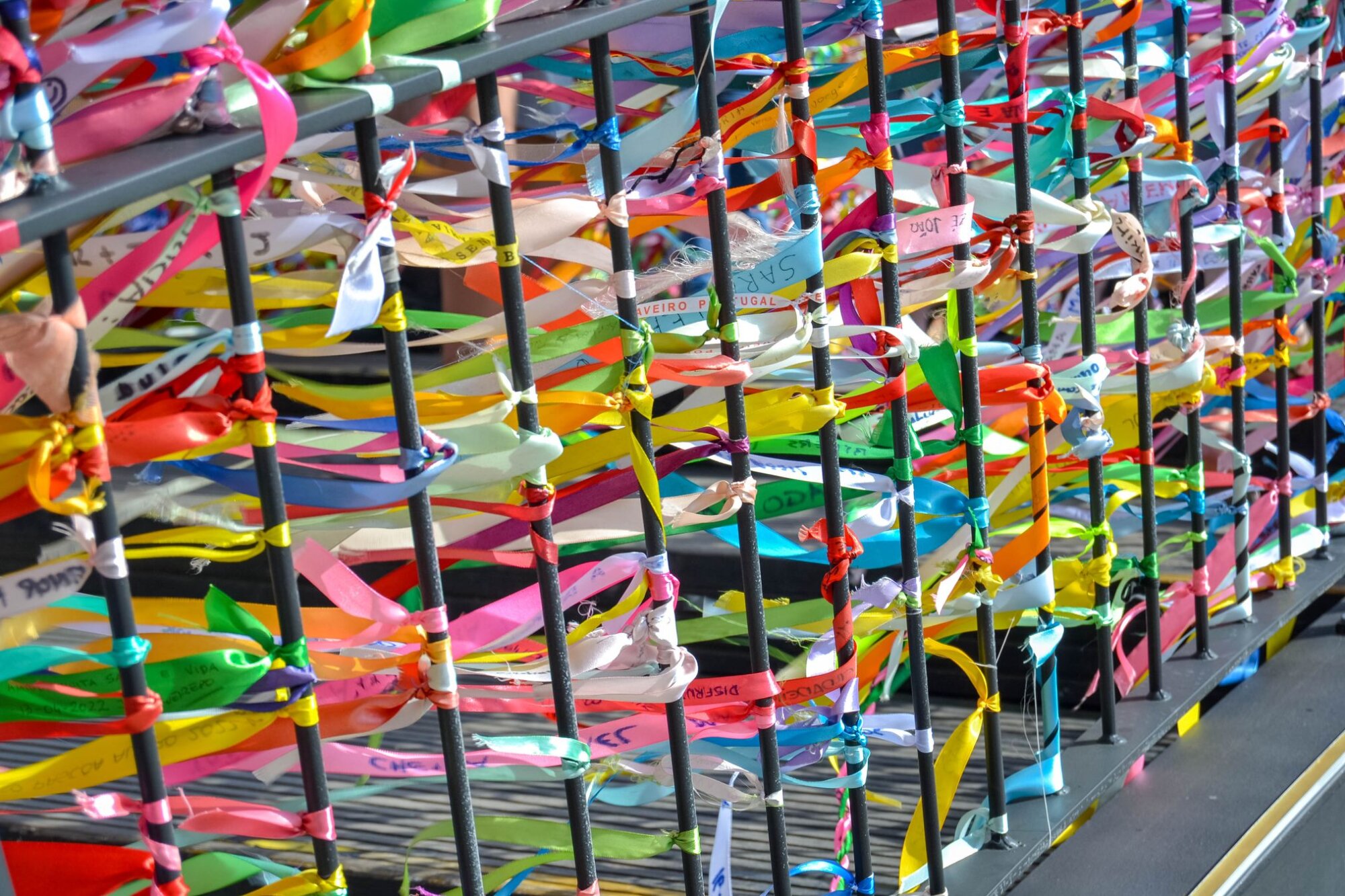 Photo du club Objectif Image 85 - Thème "les lignes"