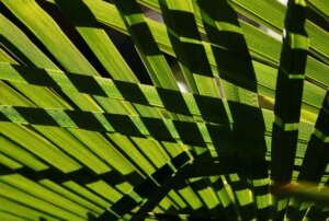 Photo du club Objectif Image 85 - Thème "les lignes"