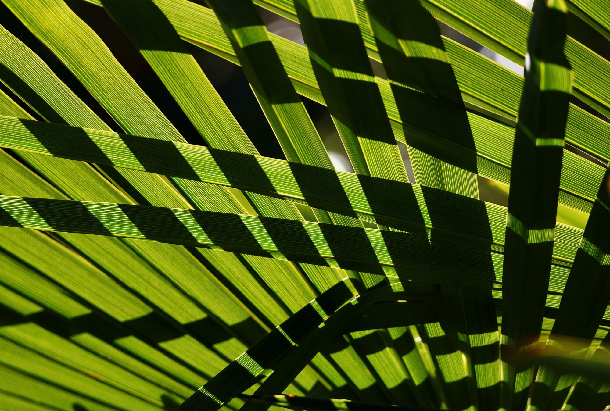 Photo du club Objectif Image 85 - Thème "les lignes"