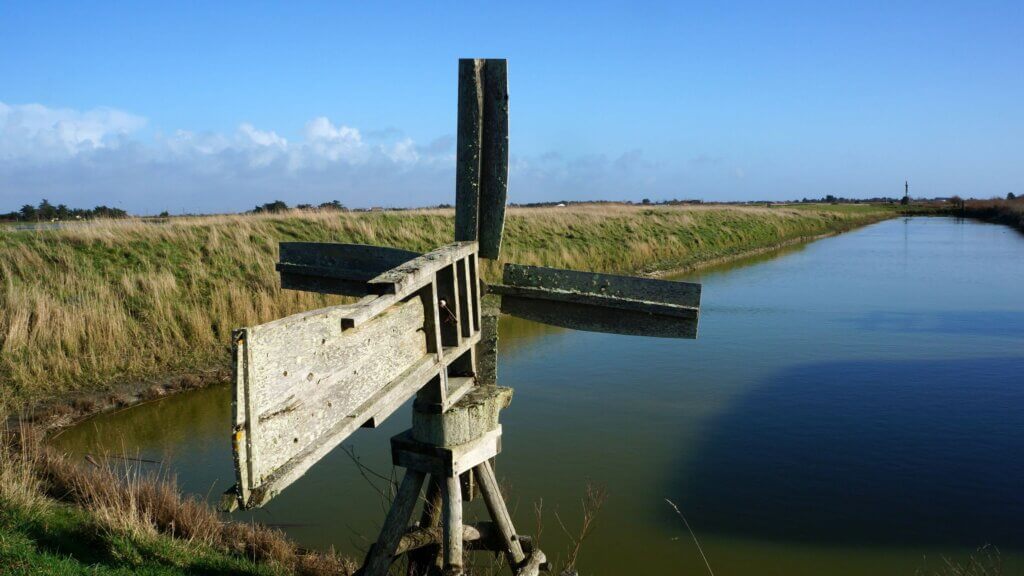 Photo du club Objectif Image 85 - Sortie autour du Gois 2025