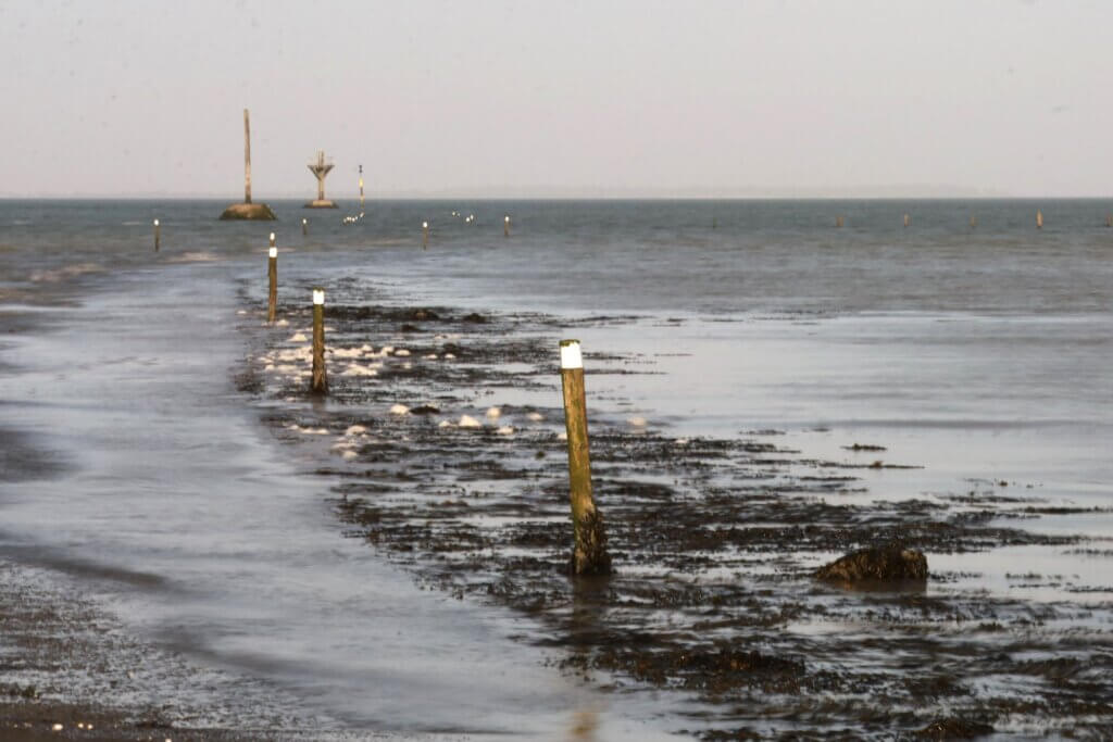 Photo du club Objectif Image 85 - Sortie autour du Gois 2025
