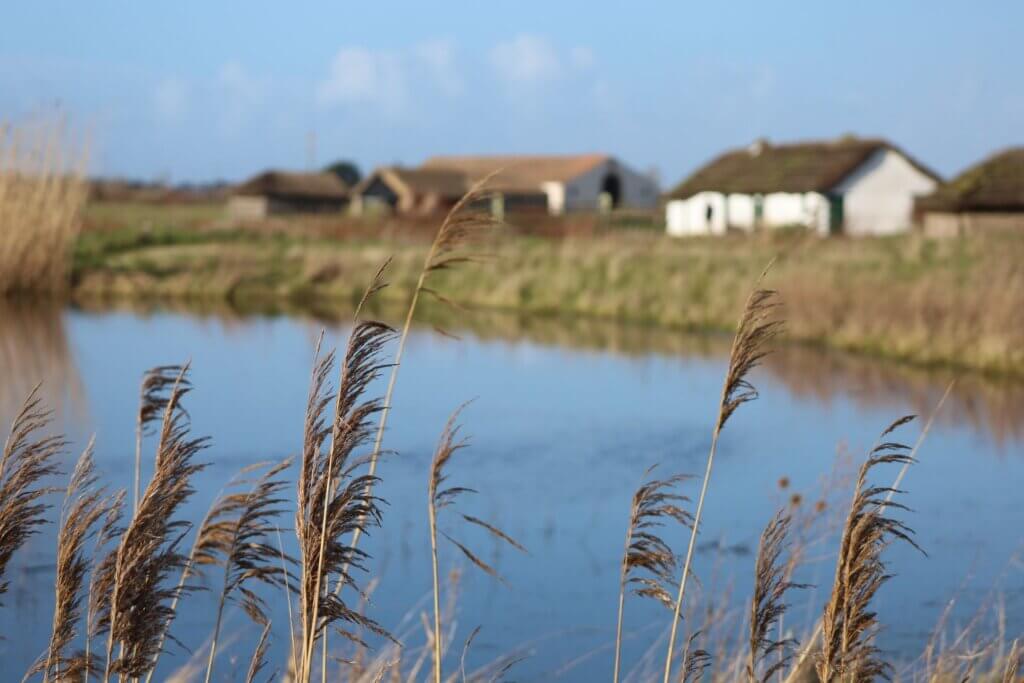 Photo du club Objectif Image 85 - Sortie autour du Gois 2025