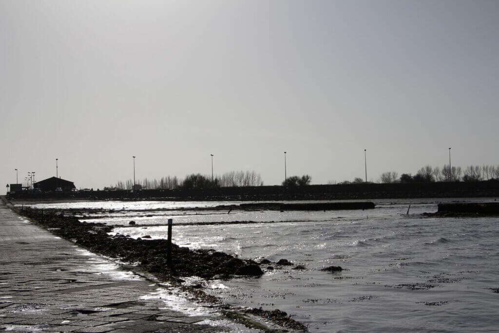 Photo du club Objectif Image 85 - Sortie autour du Gois 2025