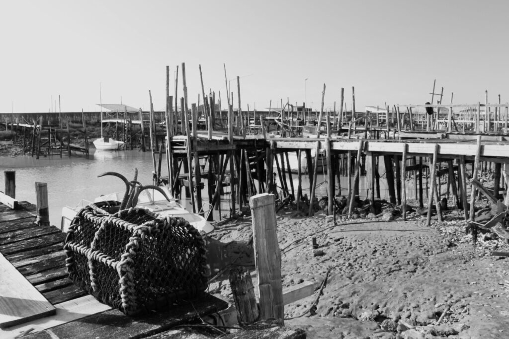 sortPhoto du club Objectif Image 85 - Sortie autour du Gois 2025ie-gois-2025-014