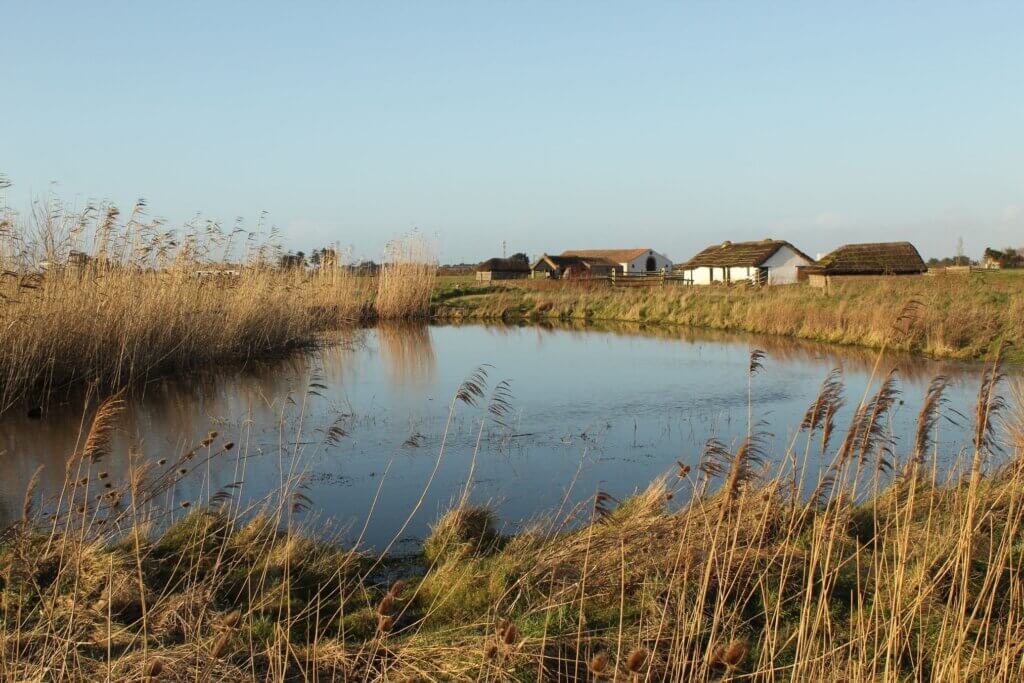 Photo du club Objectif Image 85 - Sortie autour du Gois 2025