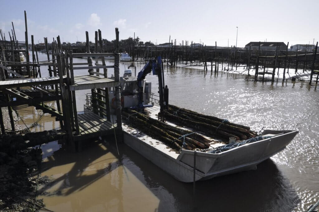 Photo du club Objectif Image 85 - Sortie autour du Gois 2025