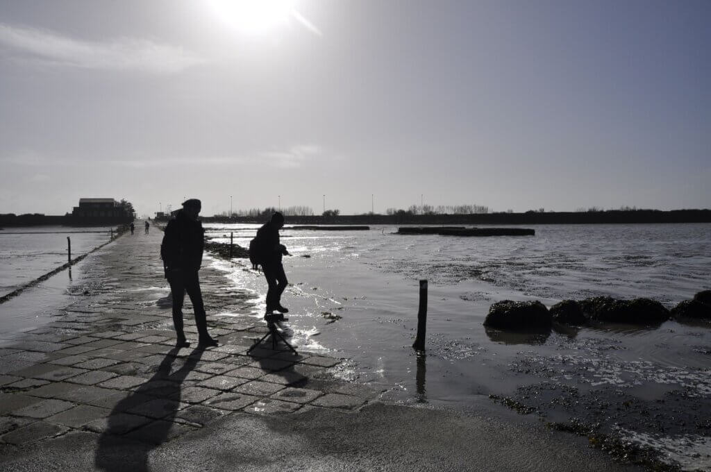 Photo du club Objectif Image 85 - Sortie autour du Gois 2025