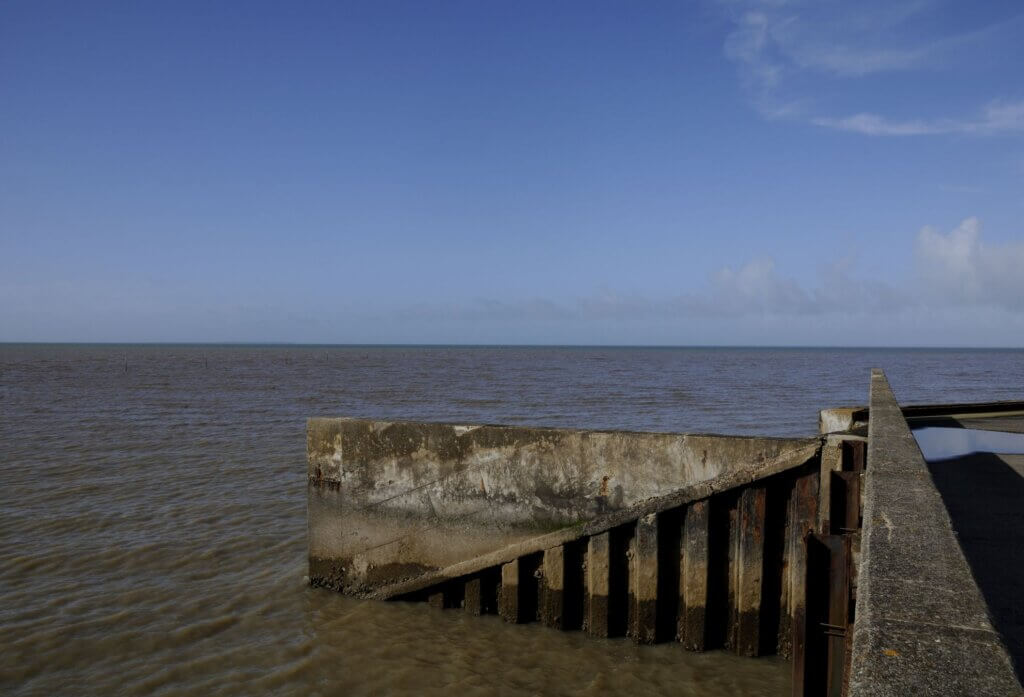 Photo du club Objectif Image 85 - Sortie autour du Gois 2025