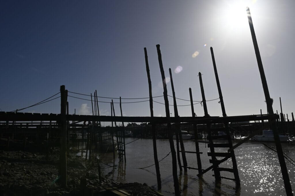 Photo du club Objectif Image 85 - Sortie autour du Gois 2025