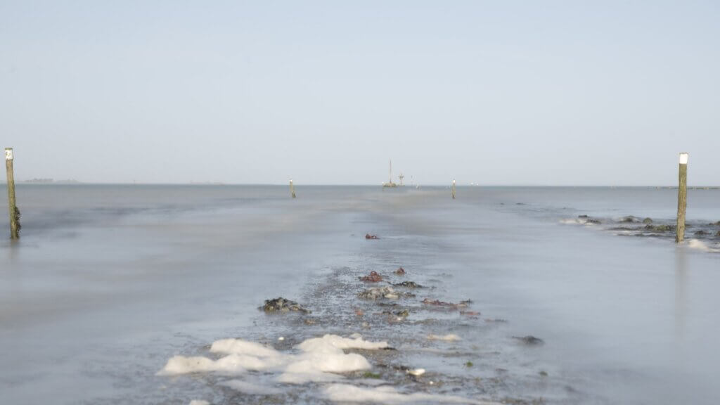Photo du club Objectif Image 85 - Sortie autour du Gois 2025