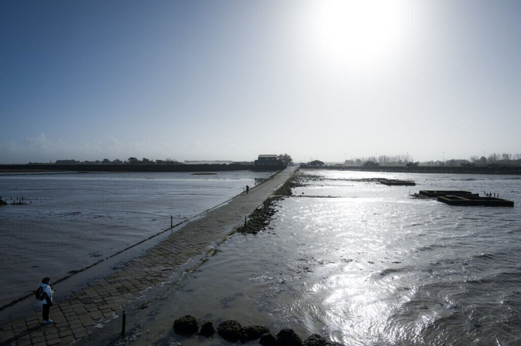 Photo du club Objectif Image 85 - Sortie autour du Gois 2025