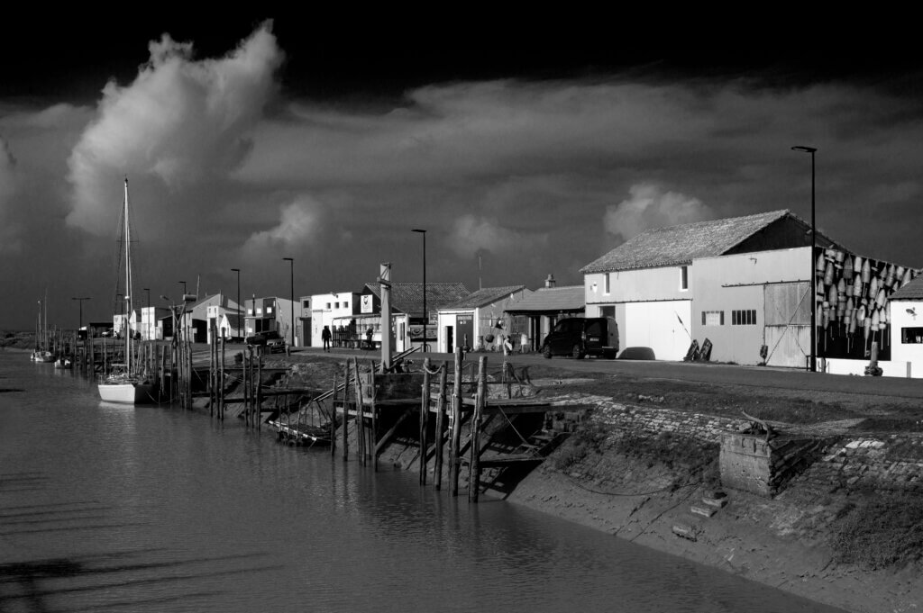 Photo du club Objectif Image 85 - Sortie autour du Gois 2025