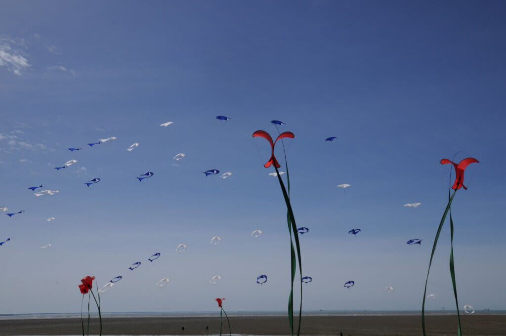 Photo du club Objectif Image 85 - Thème Le vent 2025