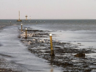 Photo du club Objectif Image 85 - Sortie autour du Gois 2025