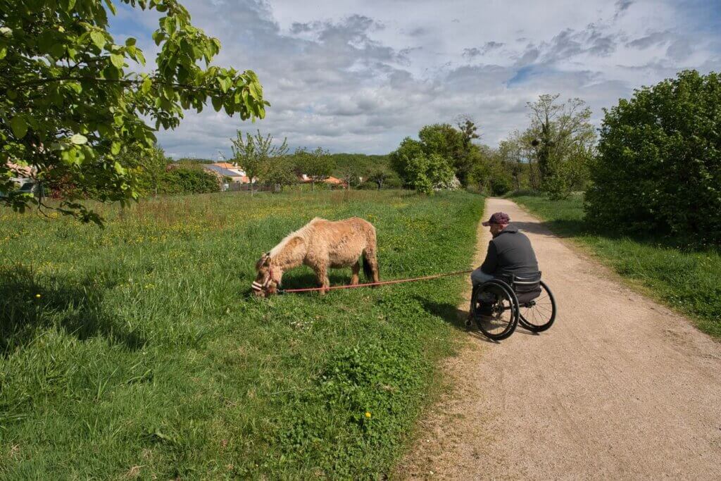Photo du club Objectif Image 85 - Exposition Le Territoire - aout 2025