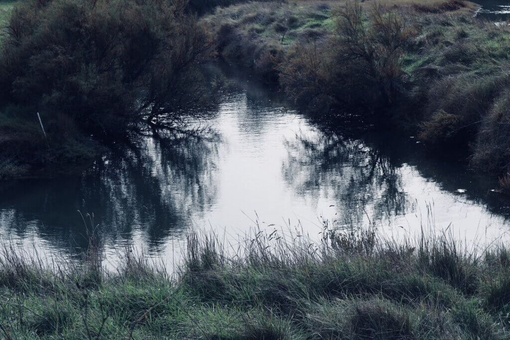Photo du club Objectif Image 85 - Thème les reflets