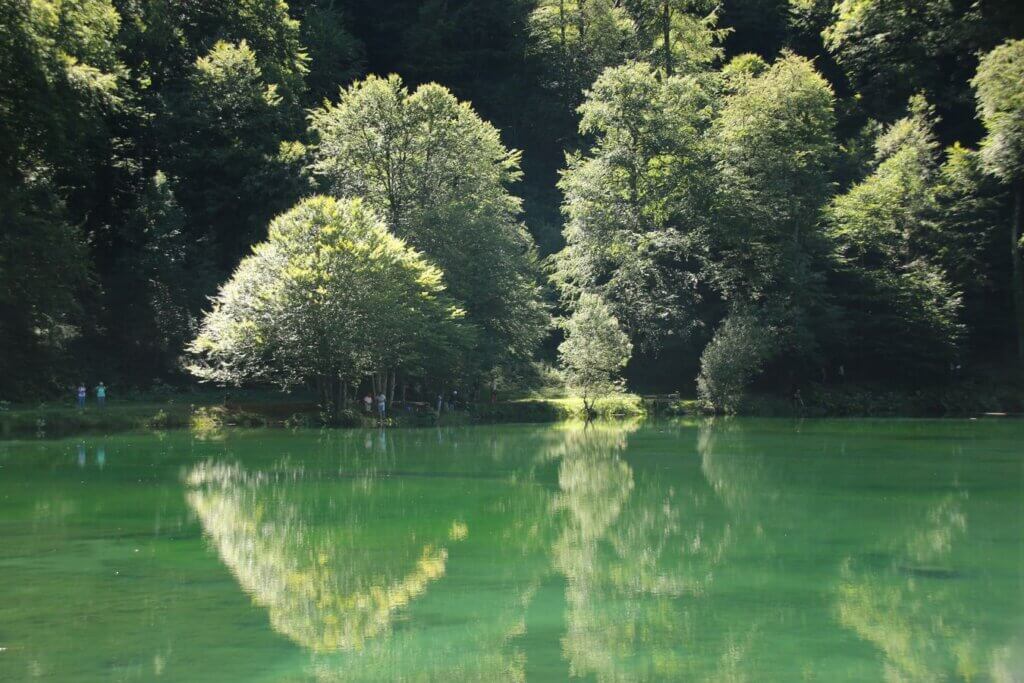 Photo du club Objectif Image 85 - Thème les reflets