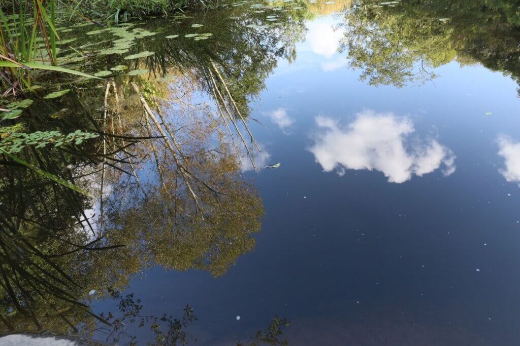 Photo du club Objectif Image 85 - Thème les reflets