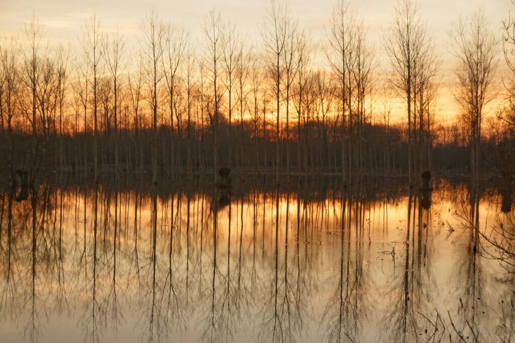 Photo du club Objectif Image 85 - Thème les reflets