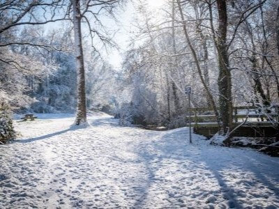 Photo du club Objectif Image 85 - Evènement neige en Vendée janvier 2026